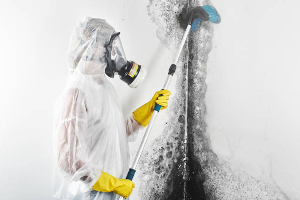 Best Airborne Mold Testing  in Lake Norman Of Catawba, NC