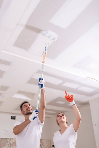 Best Industrial Mold Remediation  in Lake Norman Of Catawba, NC