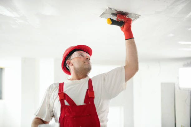 Best Dehumidification Services  in Lake Norman Of Catawba, NC