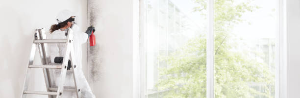 Best Air Quality Testing for Mold Spores  in Lake Norman Of Catawba, NC