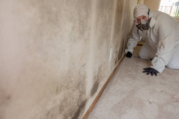 Best Emergency Mold Remediation  in Lake Norman Of Catawba, NC