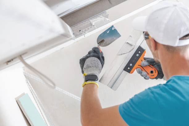 Best Mold Damage Restoration  in Lake Norman Of Catawba, NC